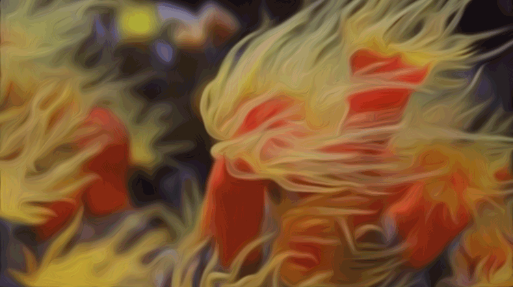 Sea Anemone Gifs