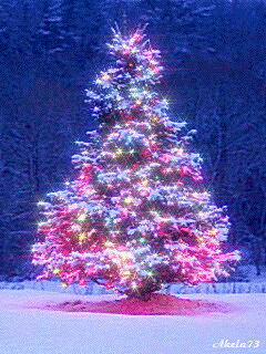 christmas lights christmas tree holiday Christmas Gif | Short Video