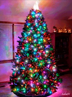 christmas tree christmas lights holiday Christmas Gif | Short Video