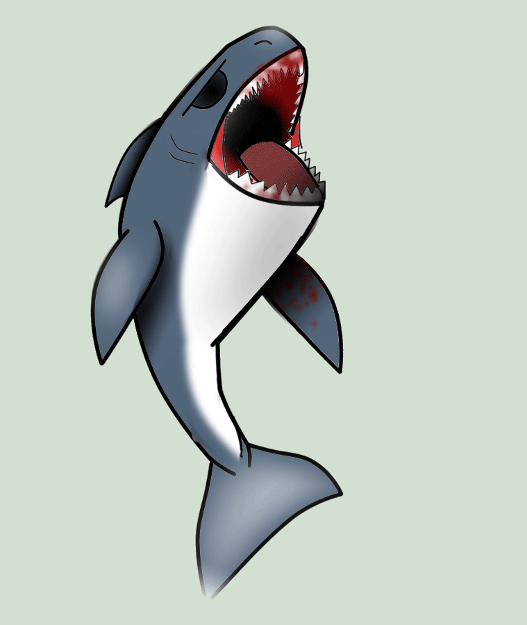 shark gif