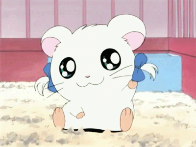 Cute Hamster With Blue Bows