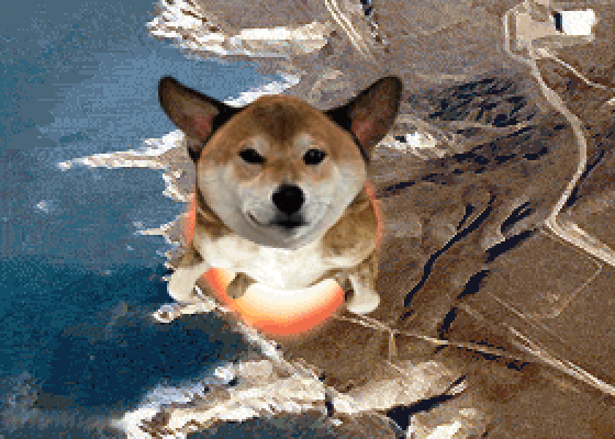 Doge IS a Rocket to the Moon