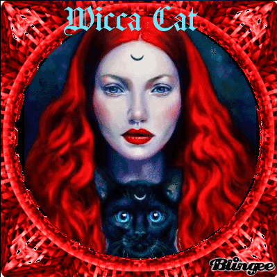 Wicca Cat by 13darkskye