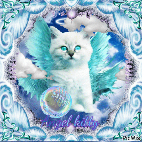 Angel Kitty by 13darkskye