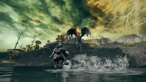 215622.gif