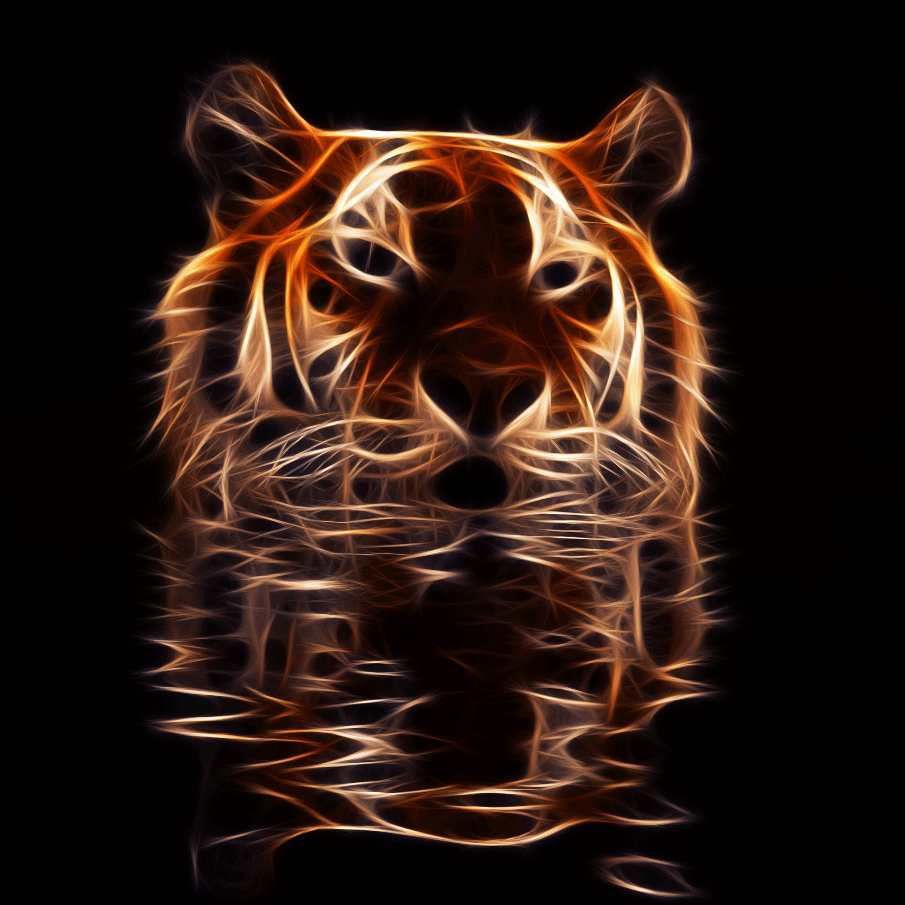 Fantasy Tiger Gif