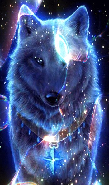 Gif ID: 215760