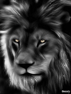 Fantasy Lion Gif