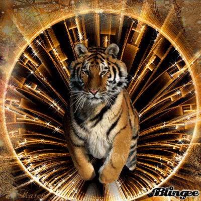 Fantasy Tiger Gif