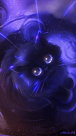 Fantasy Cat Gif - Gif Abyss