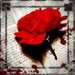 blood rose on a book