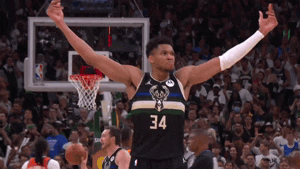 Giannis And The Crowd Gif