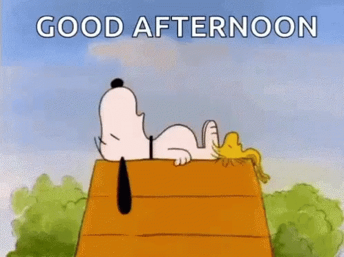 Good Afternoon Gif Funny - Gif Abyss