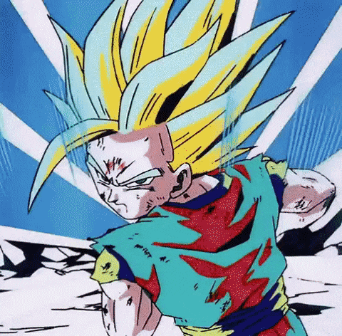 Dragon Ball Z Gif