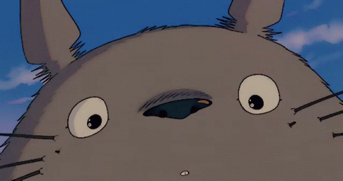 Enjoy Totoro s Night Adventure GIF Gif Abyss