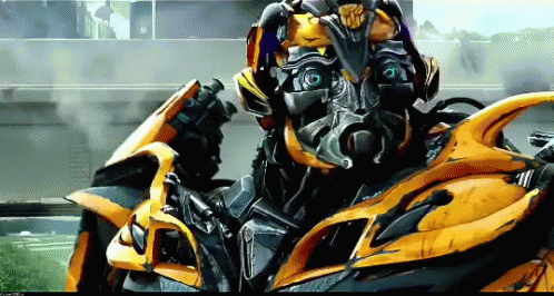 Bumblebee GIF