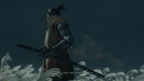 Sekiro's Samurai Standoff: Animated Glimpse
