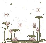 Download Gif - Gif Abyss