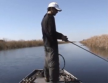 Download Funny Humor Fail Gif