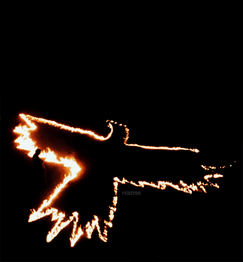 The Crow Gif Gif Abyss