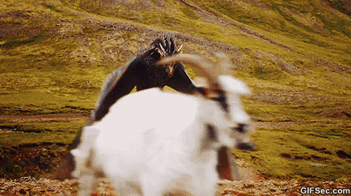 Https Encrypted Tbn0 Gstatic Com Images Q Tbn 3aand9gcs2e041kjjjibvwss9pbbfoxhdabneonulzva Usqp Cau