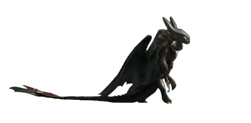 How To Train Your Dragon Gif