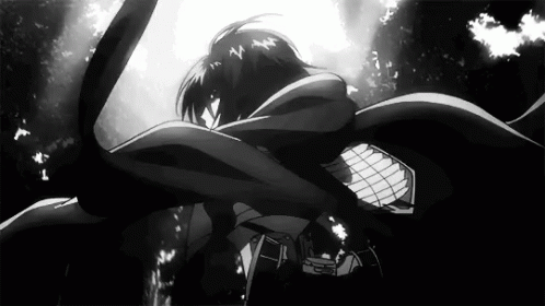 1212 Attack On Titan Gifs - Gif Abyss
