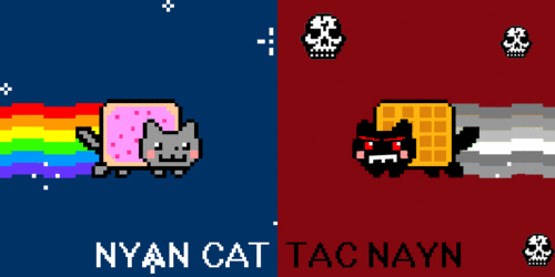Nyan cat Vs Tac cat!