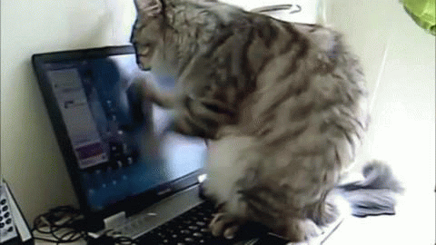 Computer Gif - Gif Abyss