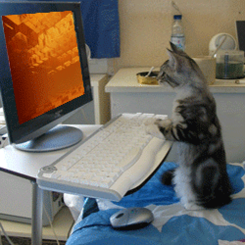 Download Technology Computer Gif Gif Abyss