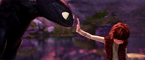 How to train your dragon Gif