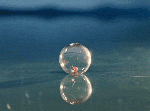 Bubble Gif