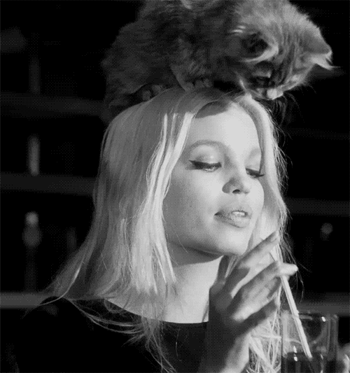 Daphne Groeneveld Gif Gif Abyss