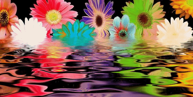 Flowers in the water