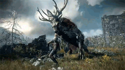 The Witcher 3: Wild Hunt Gif