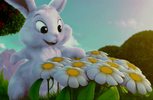 Download Holiday Easter Gif