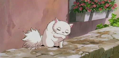 [PokeCommunity.com] Reply with a GIF