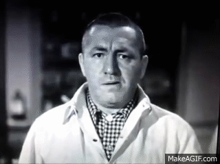 curly three stooges gif