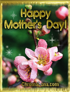 Mother S Day Gif Id Gif Abyss
