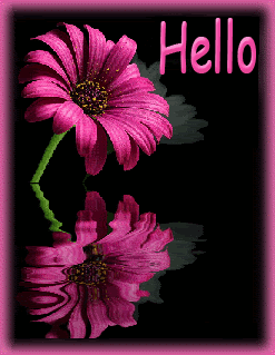 Hello-Have a Nice Day - Page 31 52269