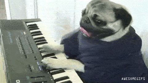 Keyboard Dog