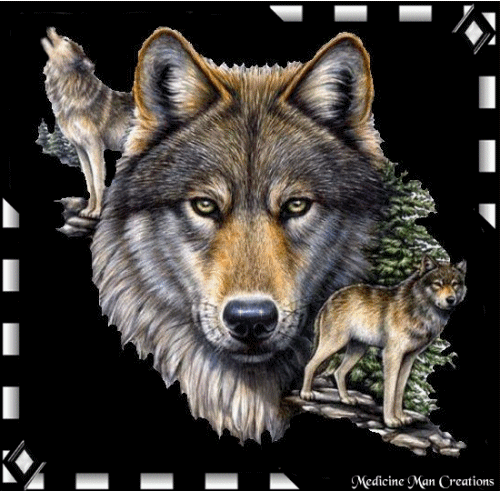 Wolf Gif Id Gif Abyss