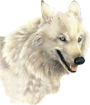 Wolf Gif - ID: 55733 - Gif Abyss