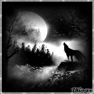 galaxy wolf Picture 107688256  Blingeecom