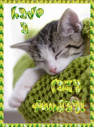 Download Cat Glitter Sunday Misc Statement 