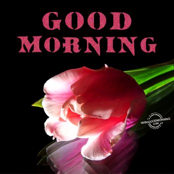 Download Glitter Good Morning Misc Statement Gif