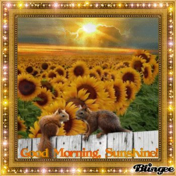 Download Glitter Good Morning Misc Statement Gif