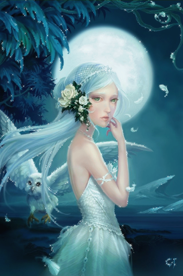 Download Glitter Fantasy Woman Gif Gif Abyss