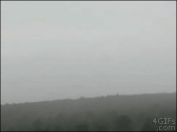 Gif ID: 7032