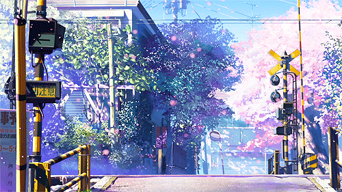 5 Centimeters Per Second Gif - Gif Abyss